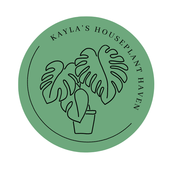 Kayla’s Houseplant Haven